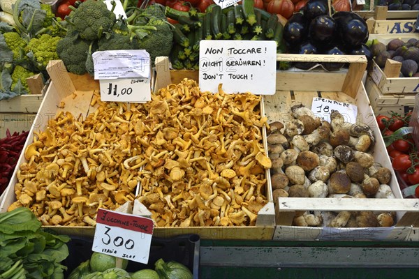 Market stall with mushrooms