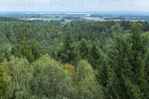 Bick from the observation tower at Mordkuhlenberg