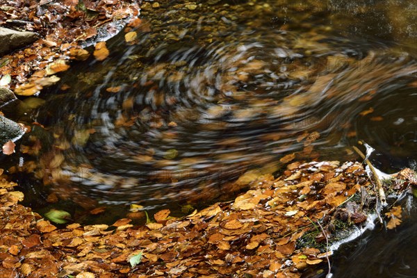 Ilse im Harz