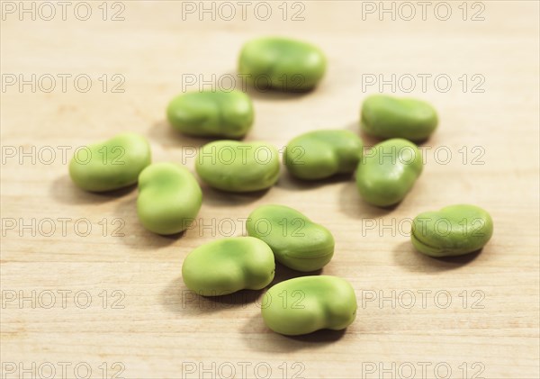 Fava Bean