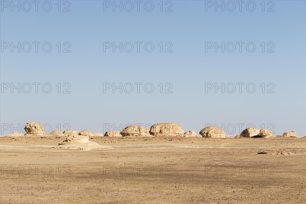 View over the white desert