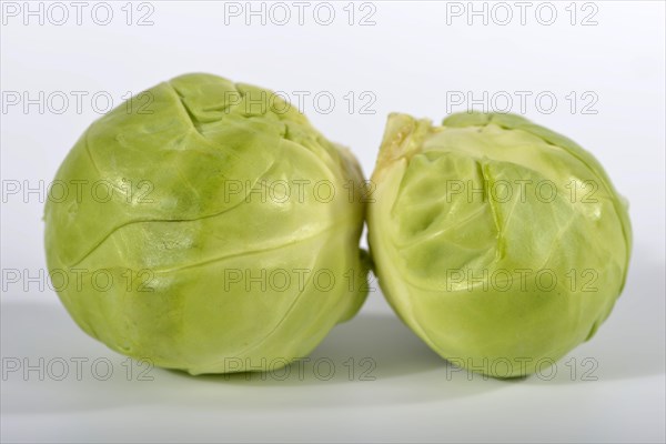 Brussels sprout