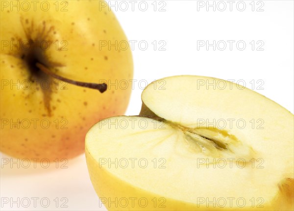 Malus domestica