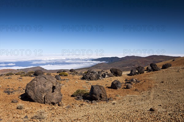 Teide eggs or lava balls in Teide National Park