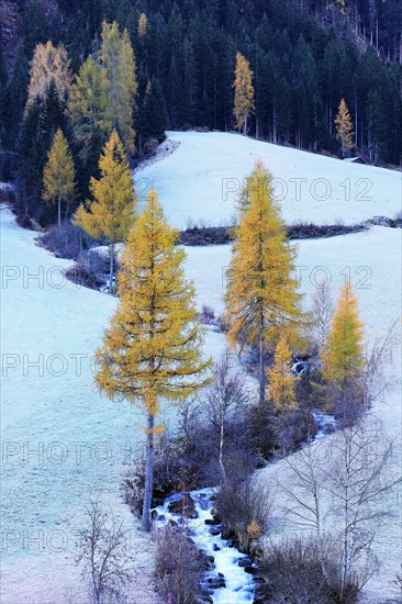 Mountain stream