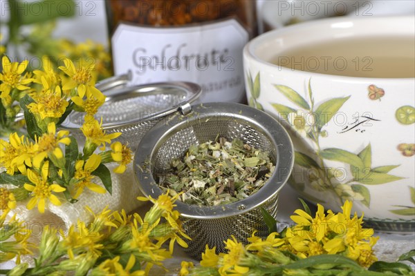 Goldenrod tea