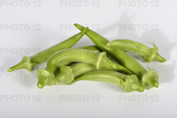 Okra