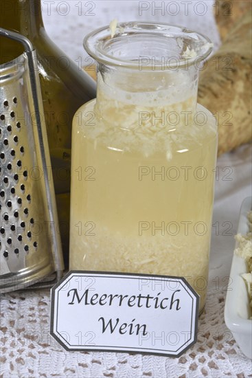 Production Horseradish wine