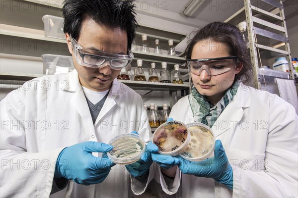 Scientists examine samples in the fungus room at the Institute for Pharmaceutical Biology and Biotechnology at Heinrich Heine University Duesseldorf