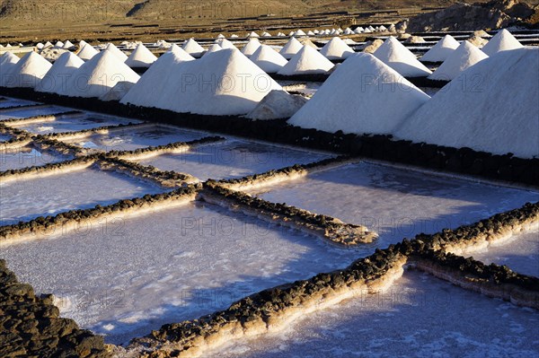 Salinas de Janubio