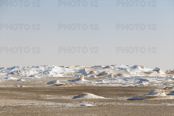 View over the white desert