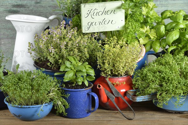 Various herbs in old bowls and cups