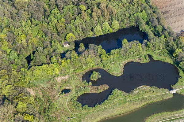 Fish ponds