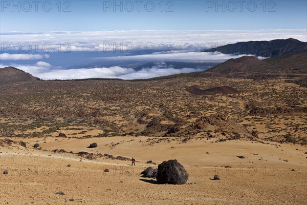 Teide eggs or lava balls in Teide National Park