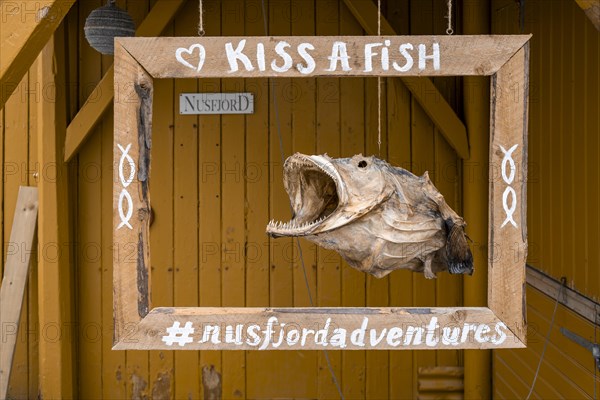 Kiss A Fish