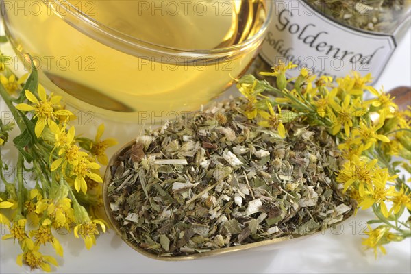 Cup goldenrod tea