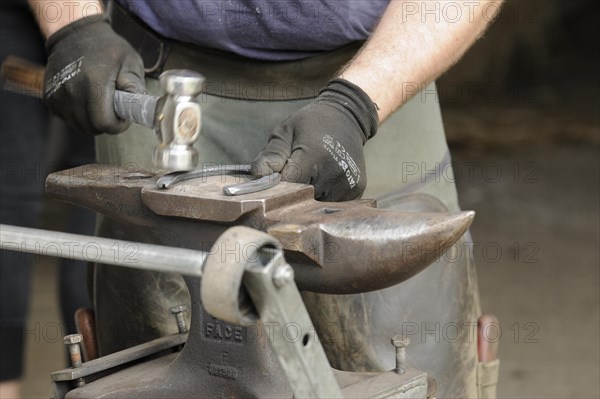 Farrier at work