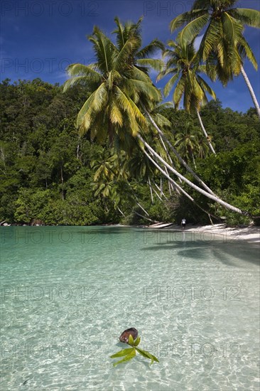 Tropical island in the Strait of