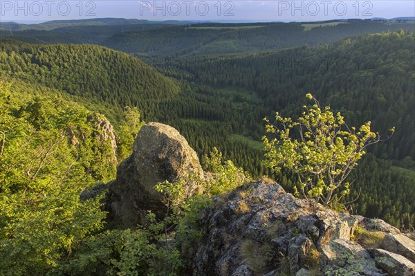 Hahnenklee Cliffs