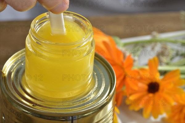 Production of yarrow and marigold ointment