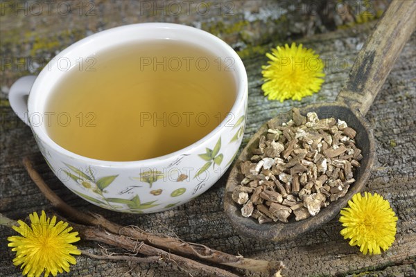 Dandelion root tea