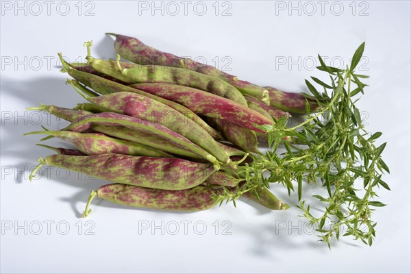 Broad beans