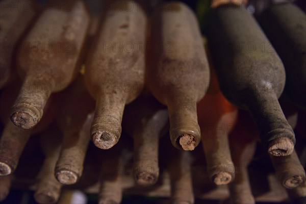 Old wine bottles