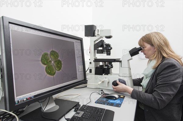 Scientist at an inverted microscope in the Faculty of Biology at the University of Duisburg-Essen