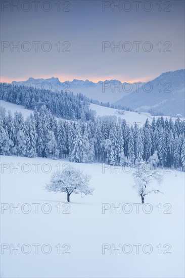 View from Ratenpass with view to the Central Swiss Alps