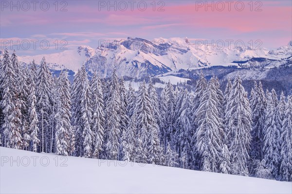 View from Gotschalkenberg with view to Glaernisch in the Schwyzer Alps