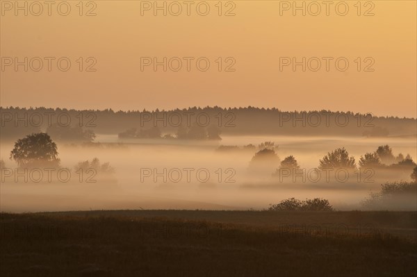 Sunrise with morning fog