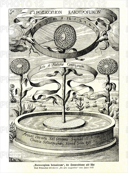 Horoscopium botanicum