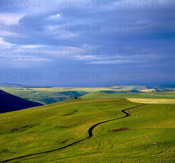 Road through hilly landscape