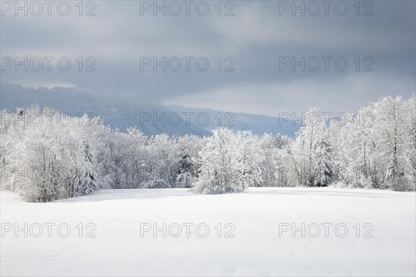 Lost landscape in Oberaeger