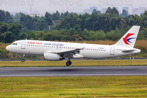 An Airbus A320 aircraft of China Eastern Airlines with registration number B-6559 at Chengdu Airport