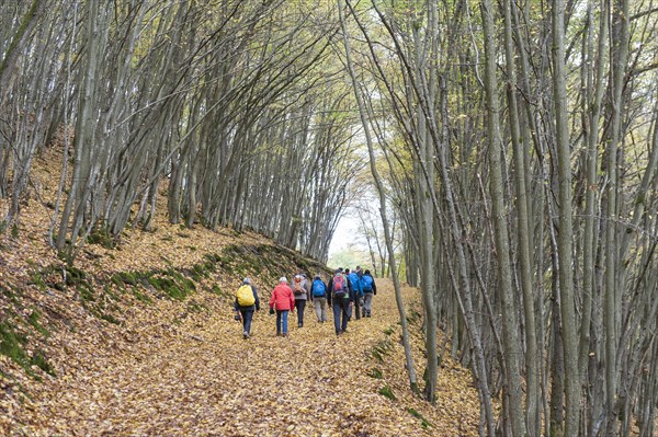 Hiking group