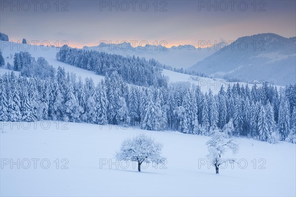 View from Ratenpass with view to the Central Swiss Alps