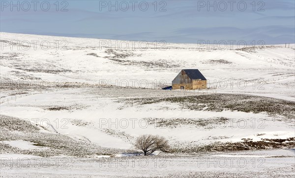 Farm in winter