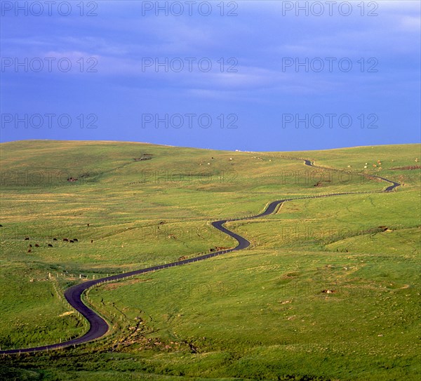 Road through hilly landscape