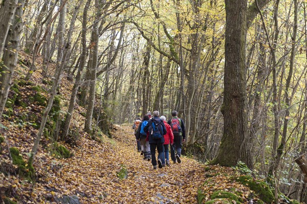 Hiking group