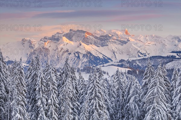 View from Gotschalkenberg with view to Glaernisch in the Schwyzer Alps