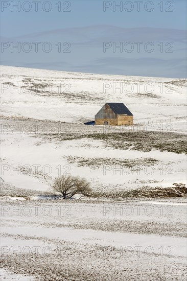 Farm in winter in Cezallier massif