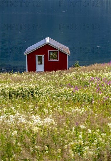 Typical fish hut by the sea