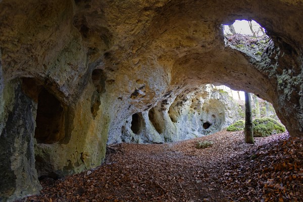 Collapsed cave near Elbersberg chapel