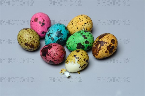 Coloured quail eggs