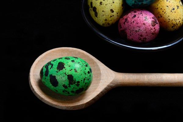 Dyed quail egg in cooking spoon