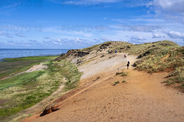 Dunes and beach