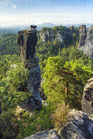 View of Wehlnadel