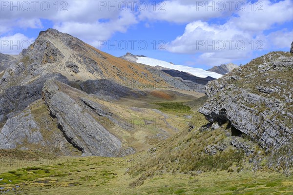 Landscape of the Andes at 4800 MueM