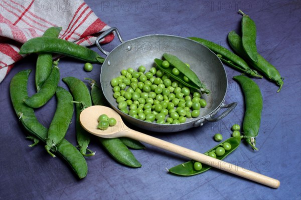 Green peas in pod and cooking spoon